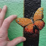 Papillon croix-roussien collé à un mur vert