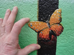 Papillon croix-roussien collé à un mur vert
