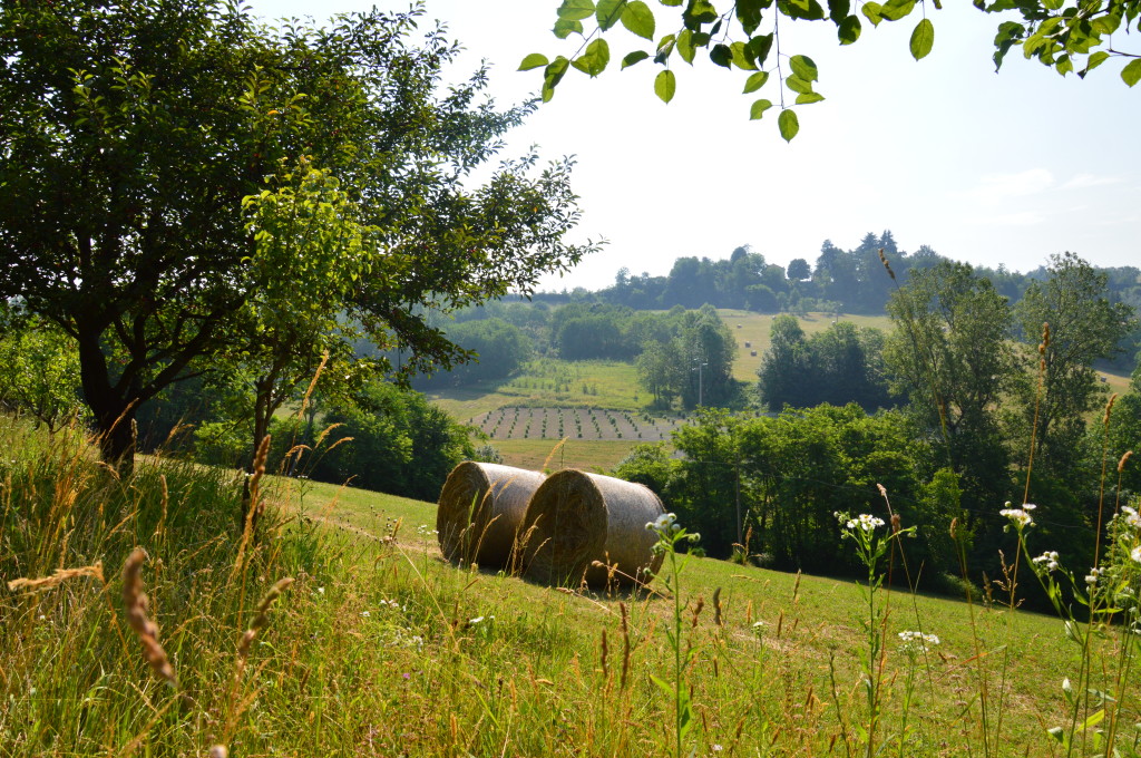 3 bales at the edge of the frutteto