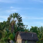 madagascar