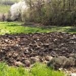 orto-plowed-6-apr-2020-2