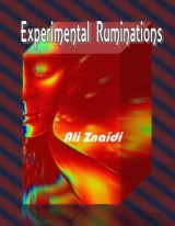 Ali Znaidi's Experimental Ruminations