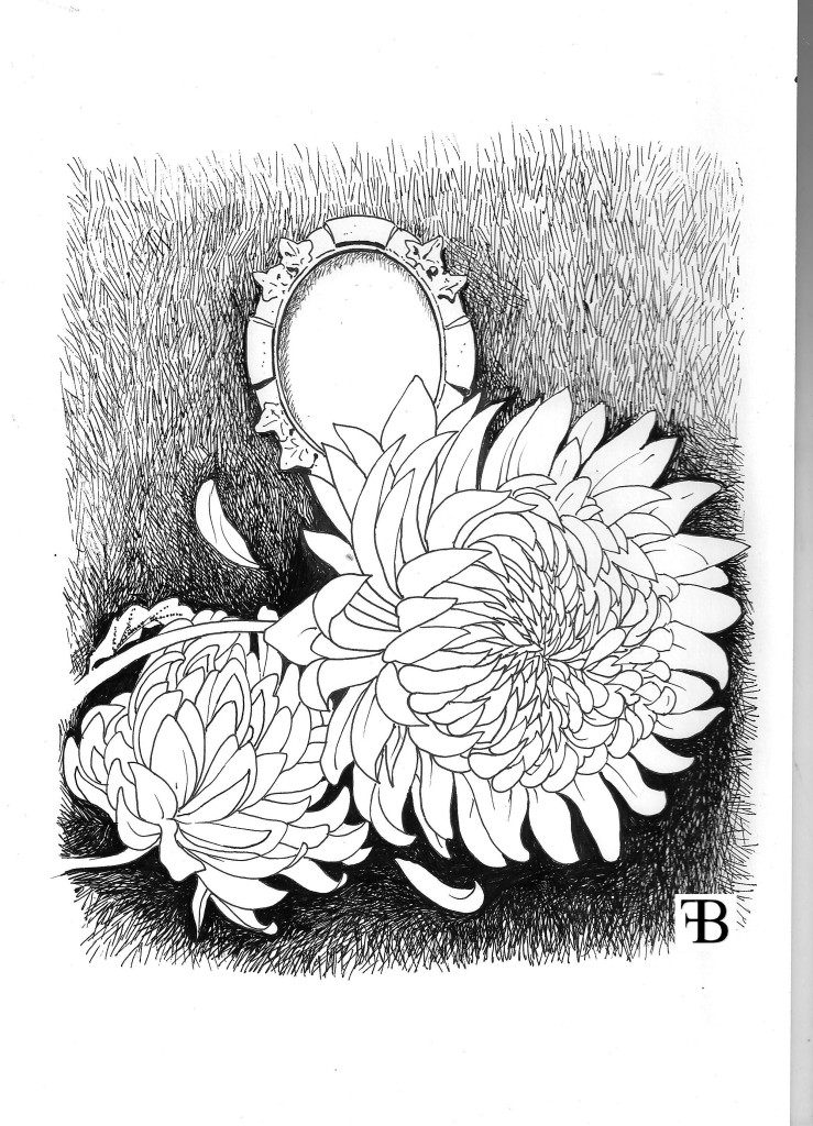 crisantemi 001