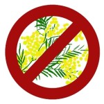 no-mimose