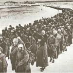 colonna-di-prigionieri-dellasse-catturati-dai-sovietici-durante-loffensiva-dellinverno-1942-1943-wikipedia